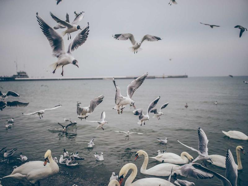 sudoku number game screenshot 3