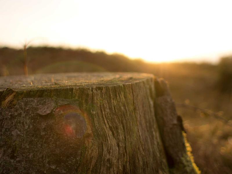 sudoku number game screenshot 4